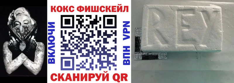 КОКАИН Fish Scale  Купить  Стародуб 
