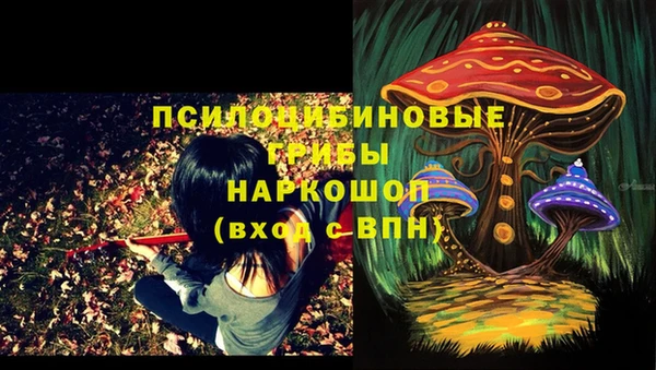 соль ск Краснотурьинск